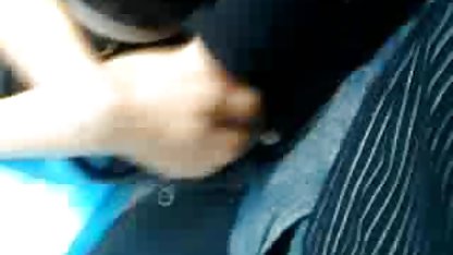 السا سکس کلاسیک ژاپنی ژان و لیلی حیوان دست اموز در